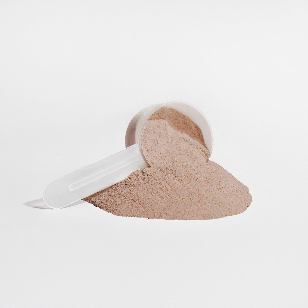 Beat Charge - Plant Protein (Chocolate)